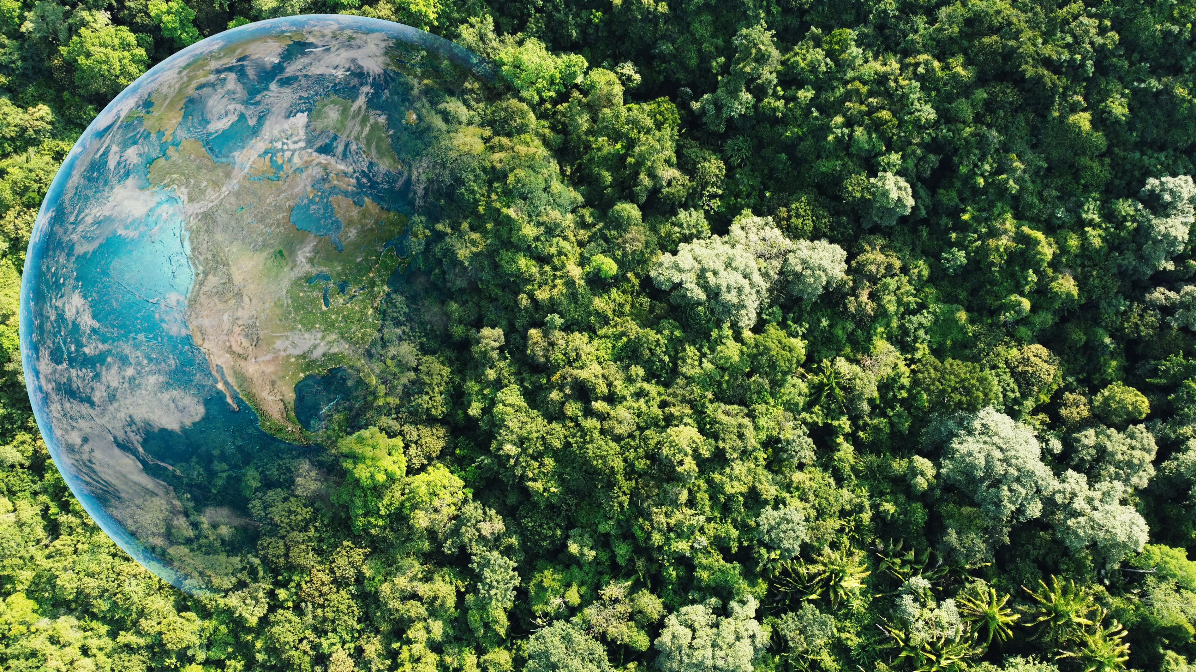 How to Embrace a Sustainable Lifestyle: 4 Simple Tips