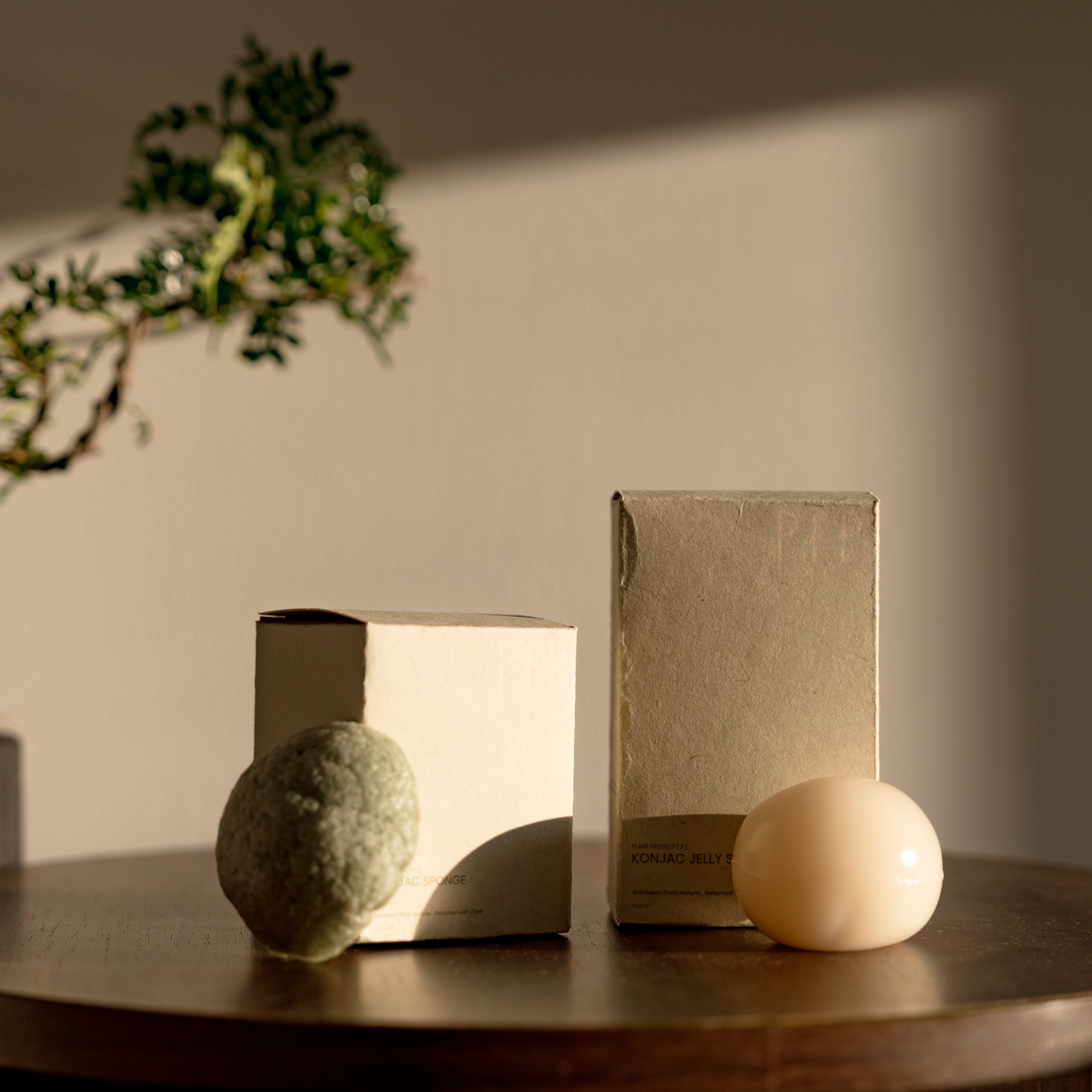 PLANT PROJECT