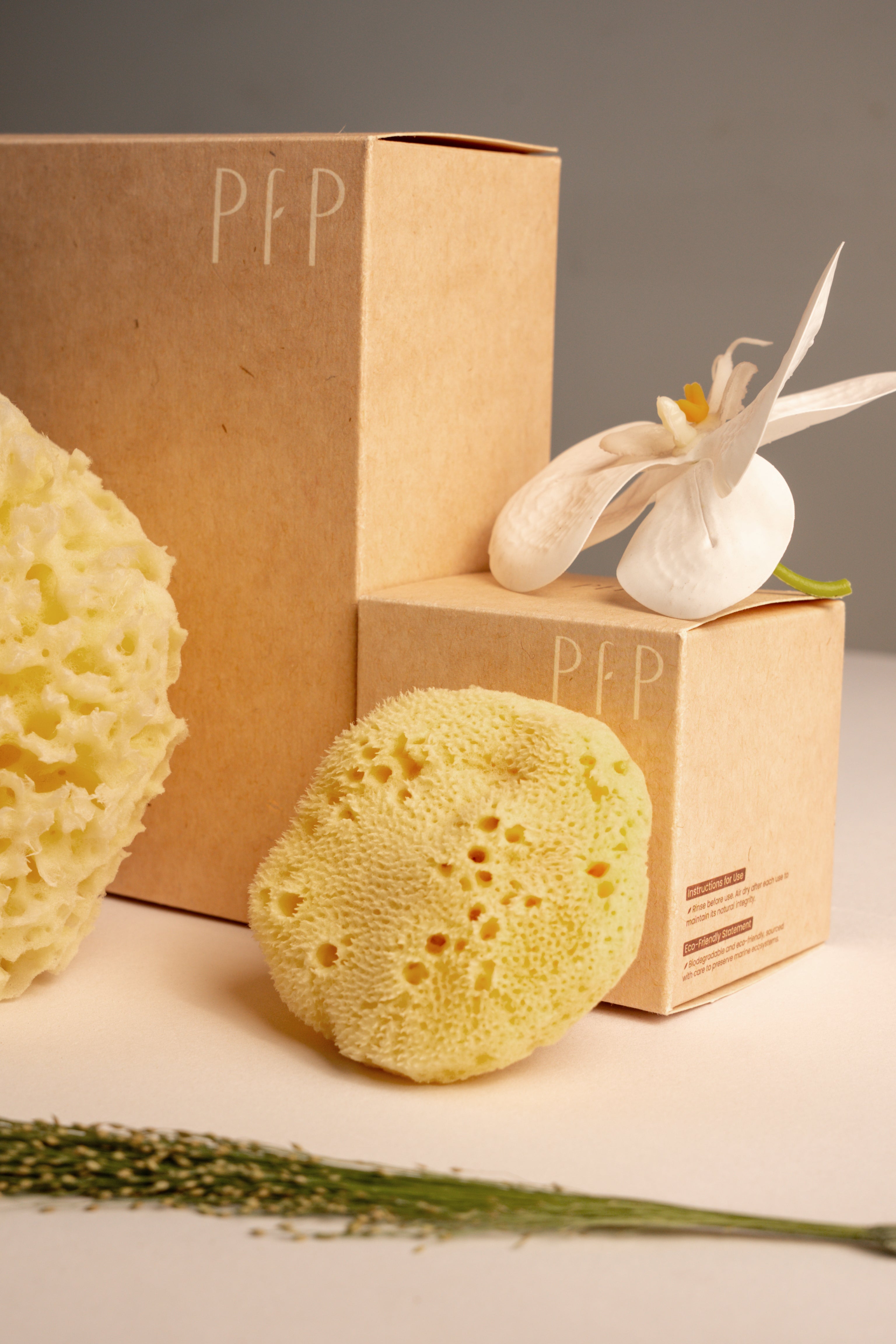 Natural Sea Sponge Set | Honeycomb Body & Silk Facial Sponges