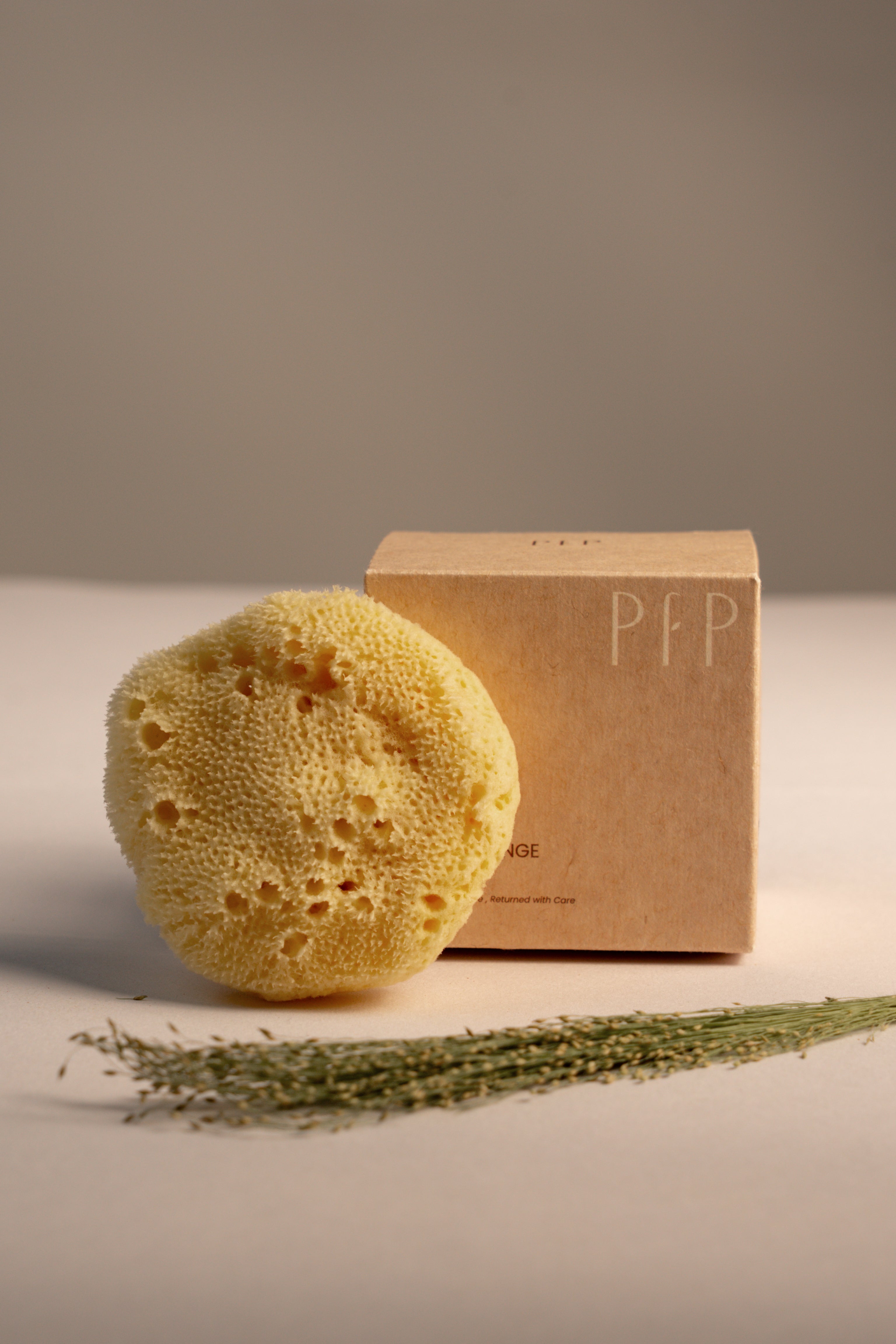 Greek Fine Silk Sea Sponge - Planet Fix Project