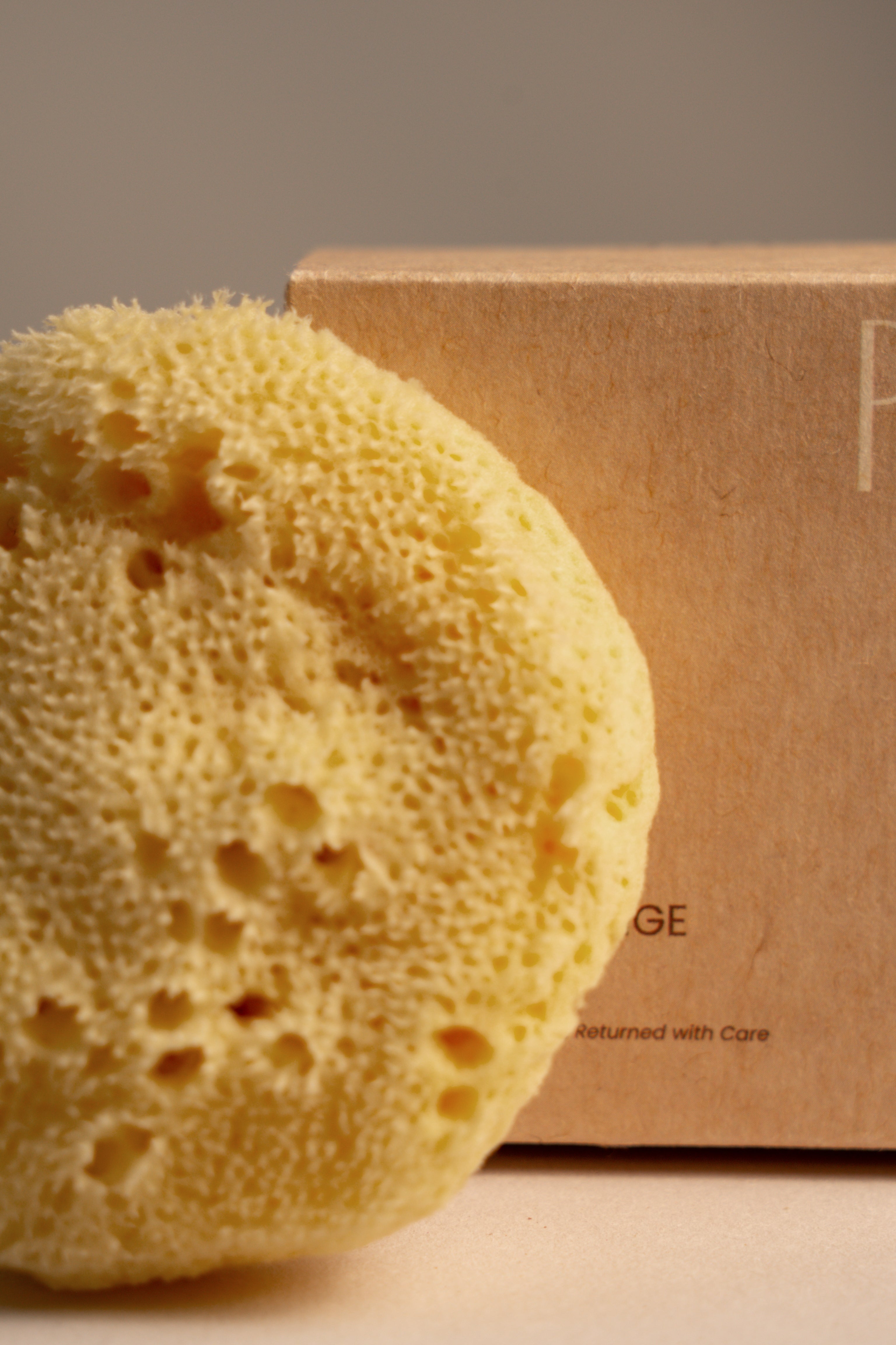 Greek Fine Silk Sea Sponge - Planet Fix Project