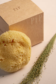 Greek Fine Silk Sea Sponge - Planet Fix Project
