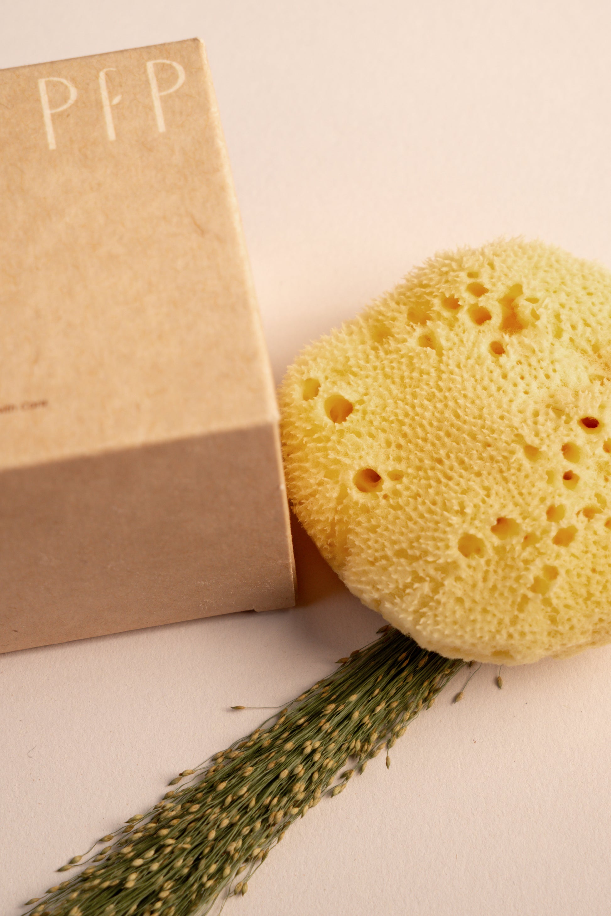 Greek Fine Silk Sea Sponge - Planet Fix Project