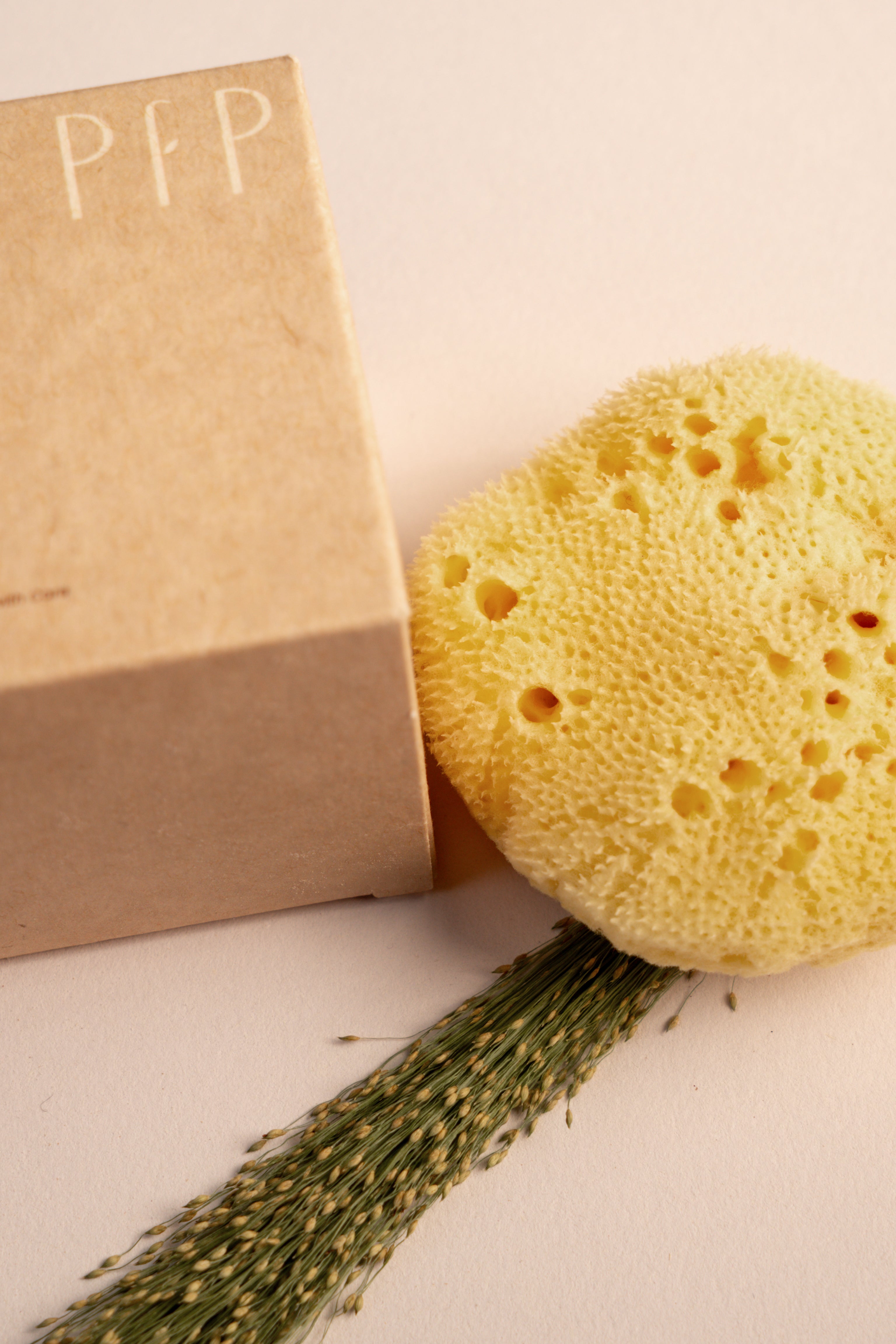 Greek Fine Silk Sea Sponge - Planet Fix Project