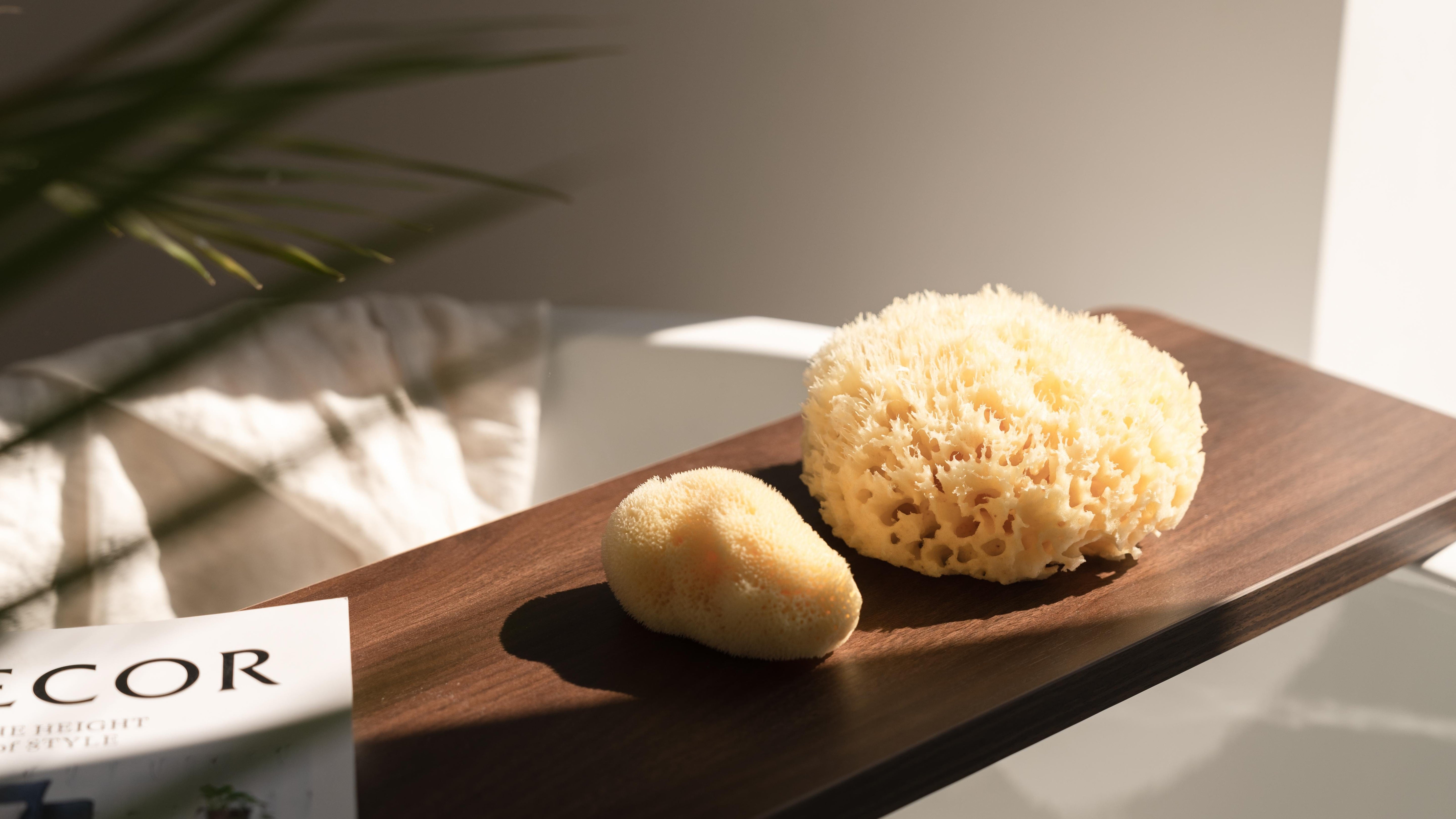 Zero-waste essentials for an eco-conscious home