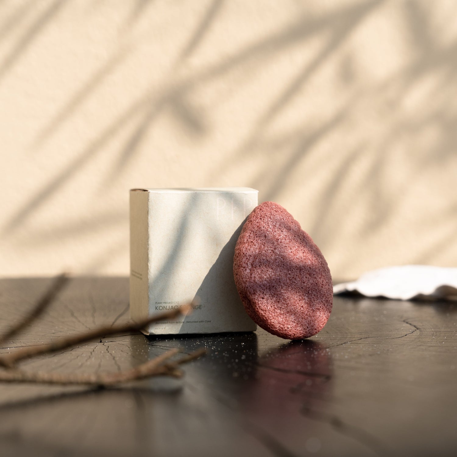 My Store Konjac Sponge