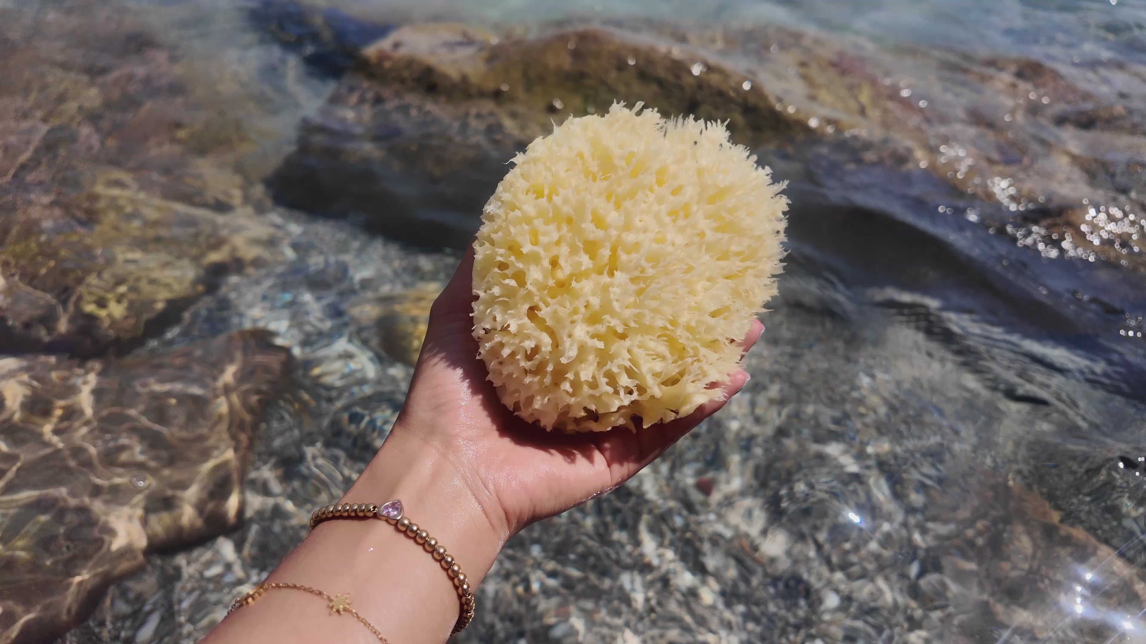Load video: Greek Honeycomb Sea Sponge