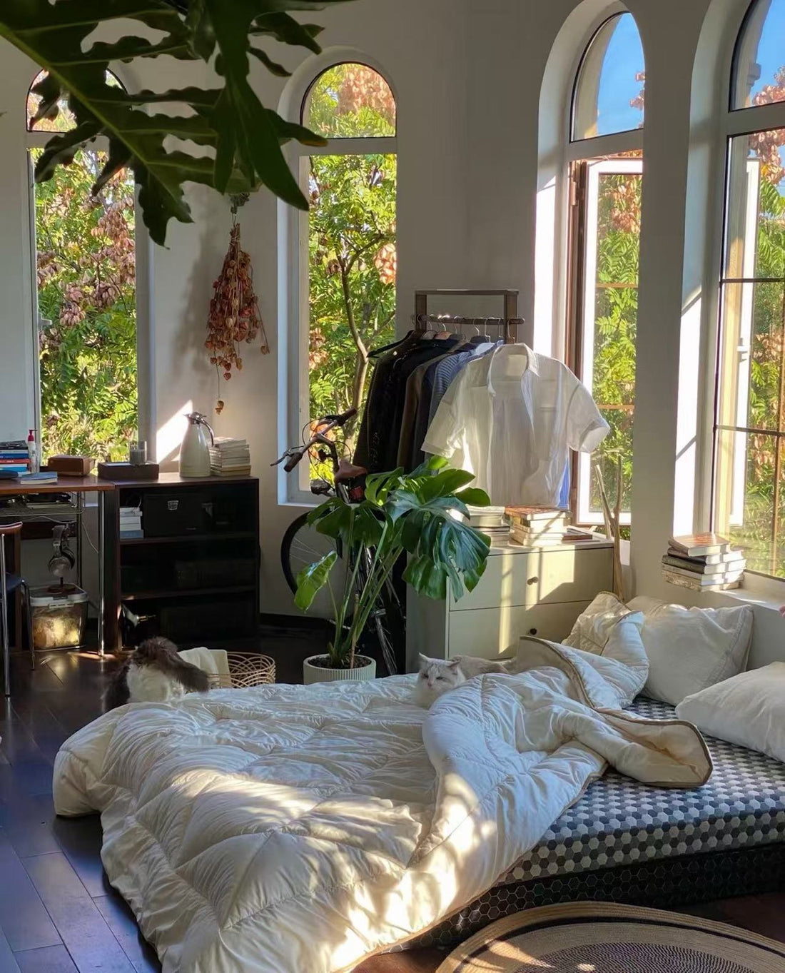 Eco-Friendly Home Decor: How PFP Soaps and Sponges Transform Your Space