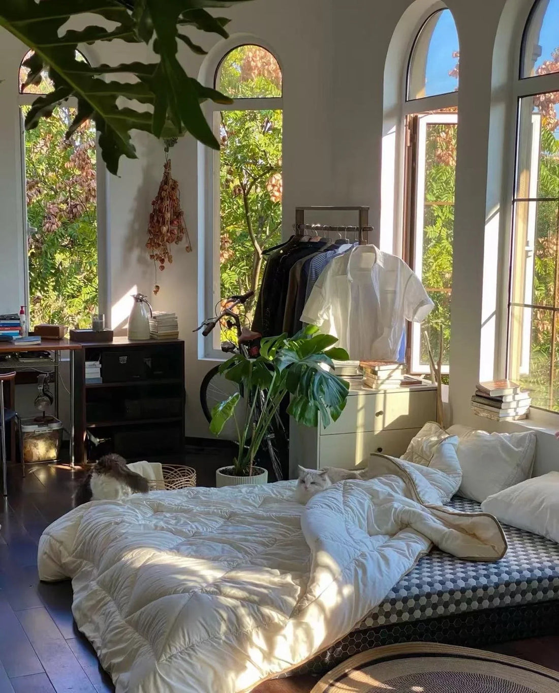 Eco-Friendly Home Decor: How PFP Soaps and Sponges Transform Your Space - Planet Fix Project
