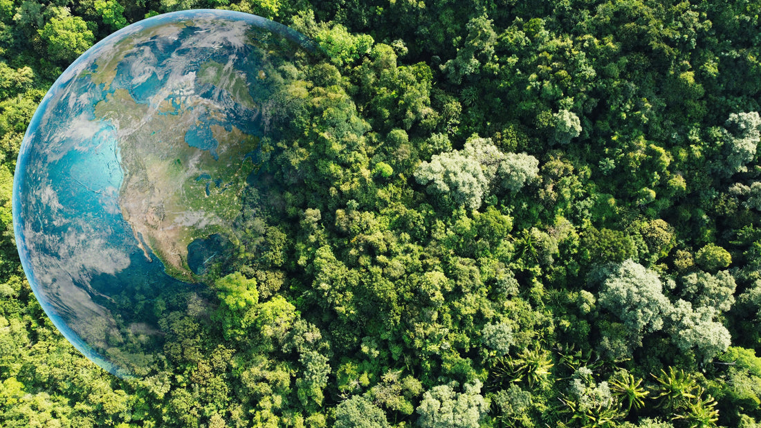 How to Embrace a Sustainable Lifestyle: 4 Simple Tips - Planet Fix Project