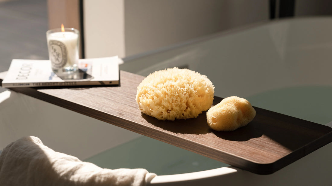 Why Choose a Natural Sea Sponge? The Science Behind Its Skin Benefits - Planet Fix Project