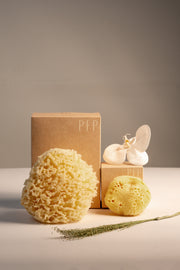 Natural Sea Sponge Set | Honeycomb Body & Silk Facial Sponges