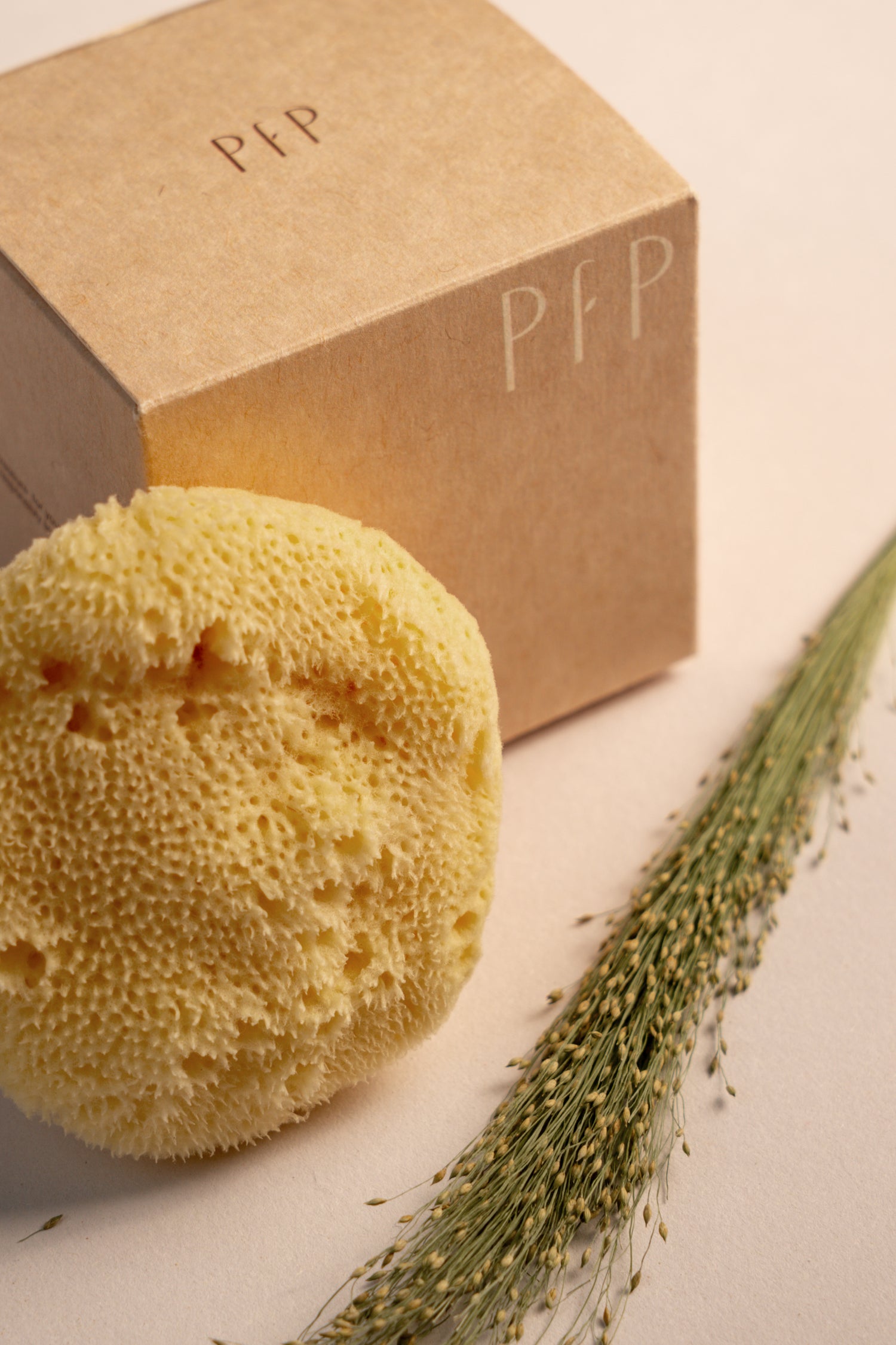 Greek Fine Silk Sea Sponge - Planet Fix Project