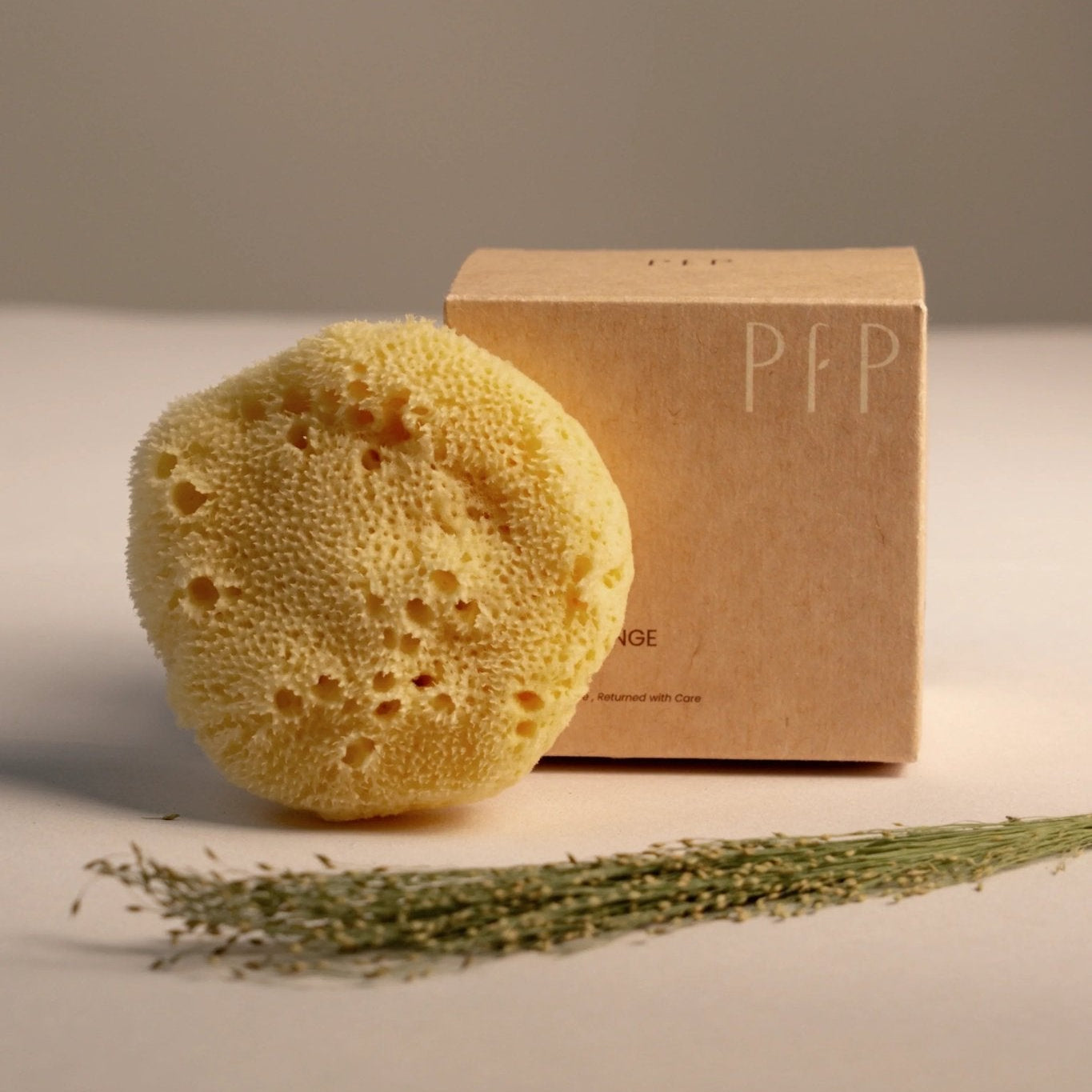 Greek Fine Silk Sea Sponge - Planet Fix Project