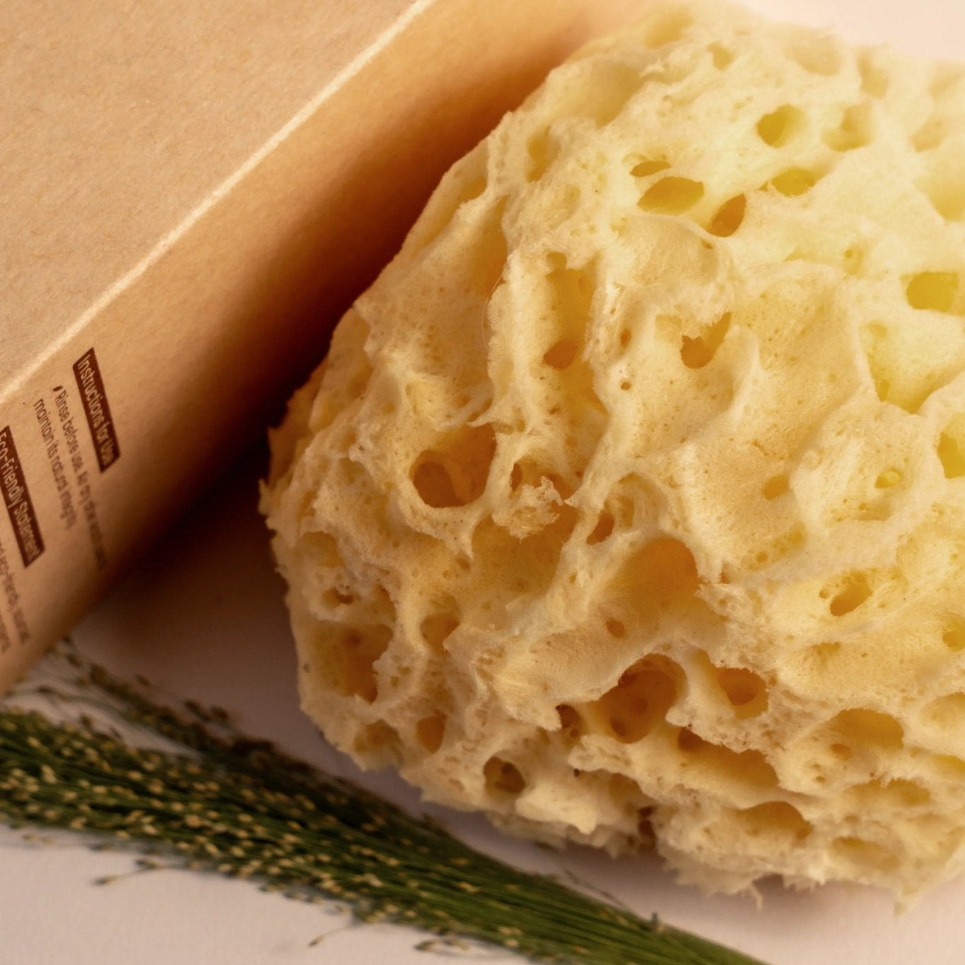 Greek Honeycomb Sea Sponge - Planet Fix Project