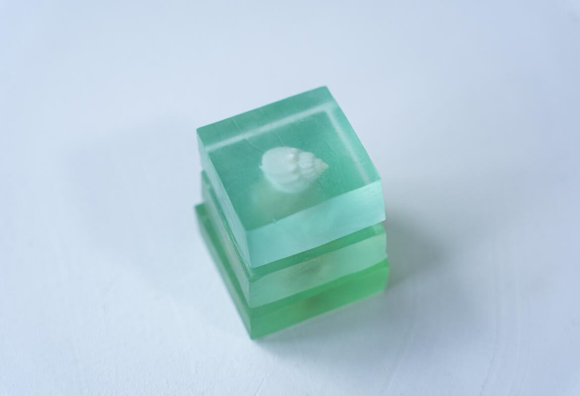 Ocean’s Heart – Handcrafted Shell Soap （Pack of 2） - Planet Fix Project