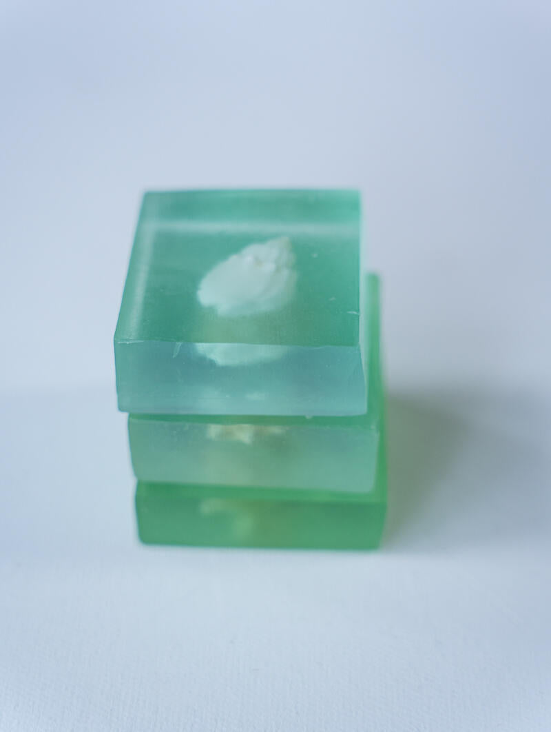 Ocean’s Heart – Handcrafted Shell Soap （Pack of 2） - Planet Fix Project